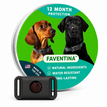 Faventina™ 12 Months Flea and Tick Free