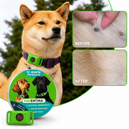 Faventina™ 12 Months Flea and Tick Free
