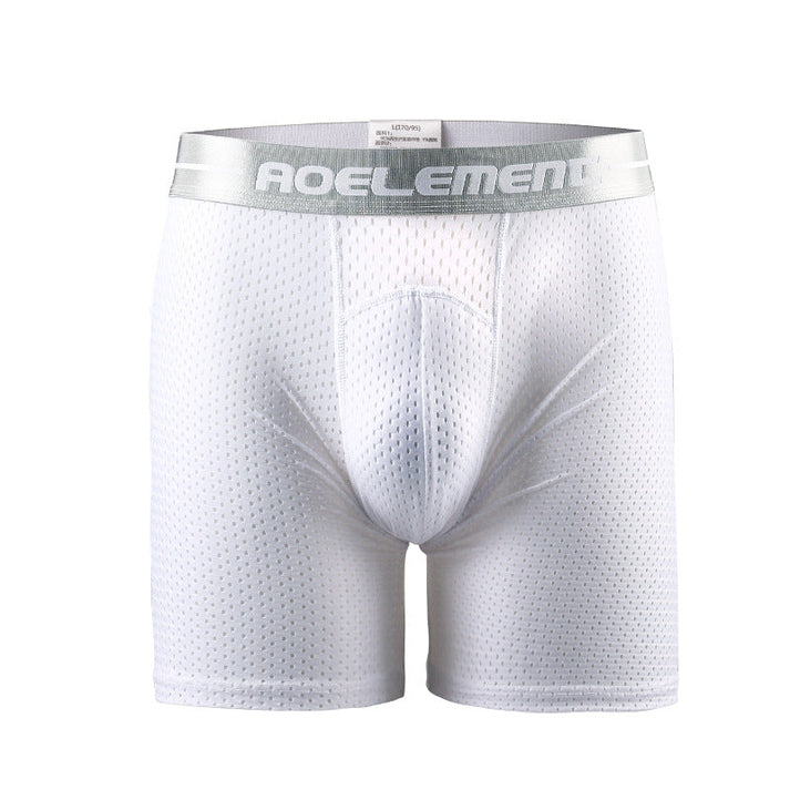 Faventina™ Premium Leakproof IceSilk Boxer