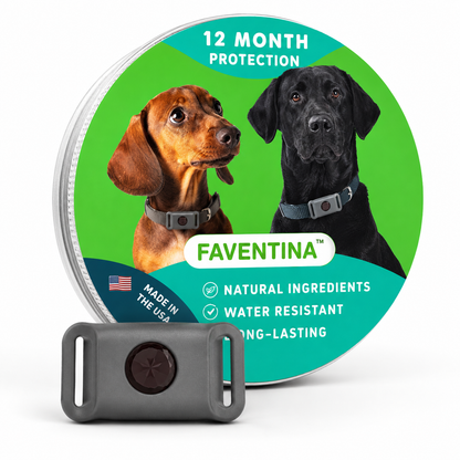 Faventina™ 12 Months Flea and Tick Free
