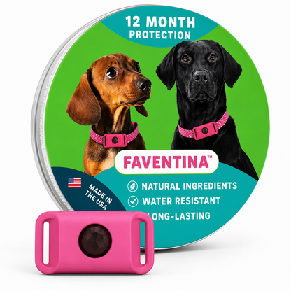 Faventina™ 12 Months Flea and Tick Free