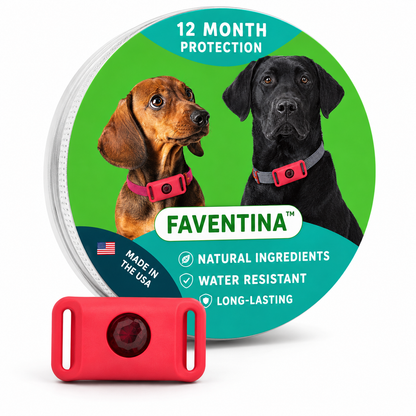 Faventina™ 12 Months Flea and Tick Free